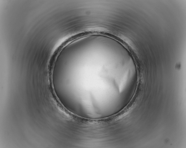 X0000089891022200707262225