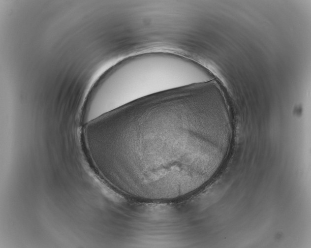 X0000089891024200707262225