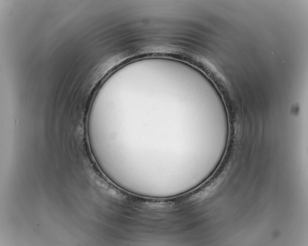 X0000089891025200707262225