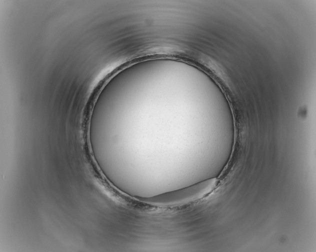 X0000089891026200707262225