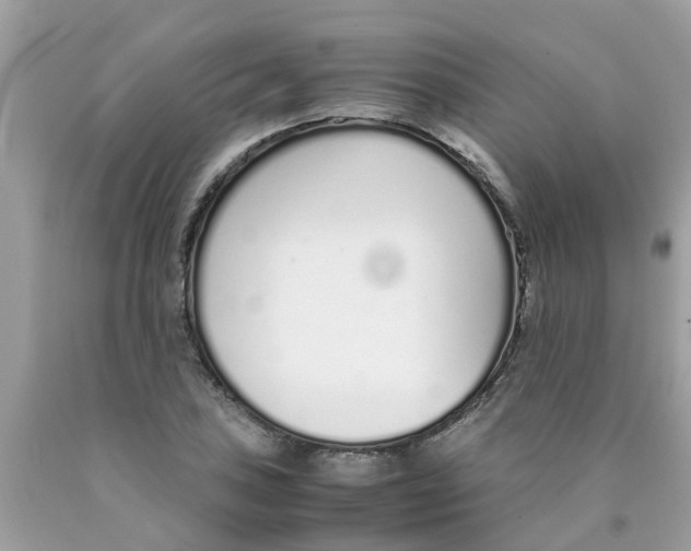 X0000089891027200707262225