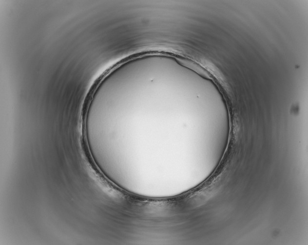 X0000089891028200707262225