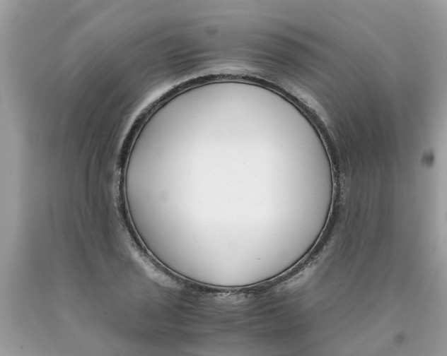 X0000089891029200707262225