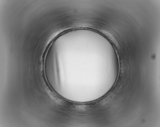 X0000089891031200707262225