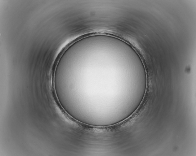 X0000089891032200707262226