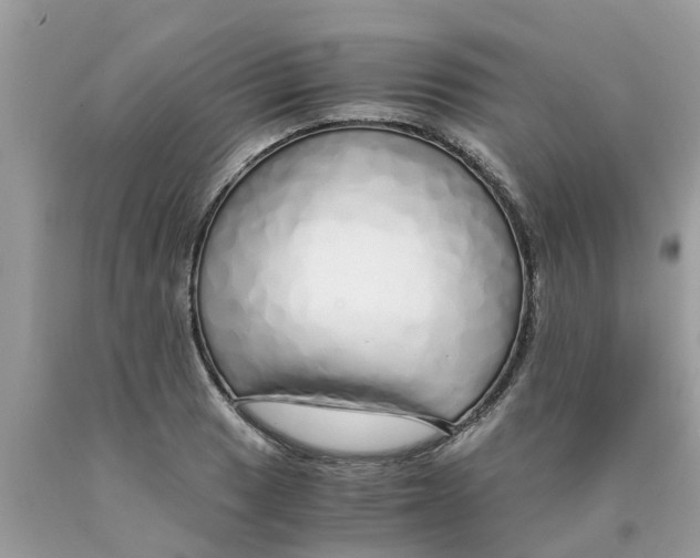 X0000089891033200707262226