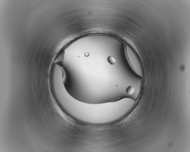 X0000089891034200707262226