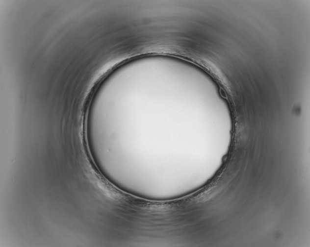 X0000089891035200707262226