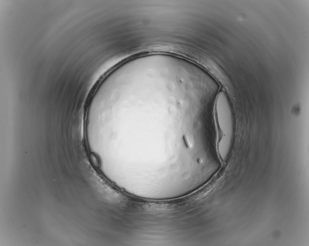 X0000089891036200707262226