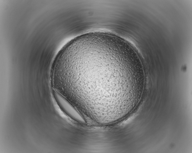 X0000089891038200707262226