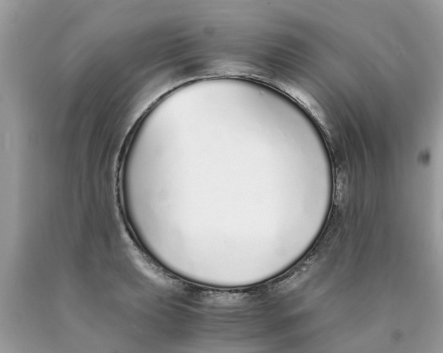 X0000089891039200707262226