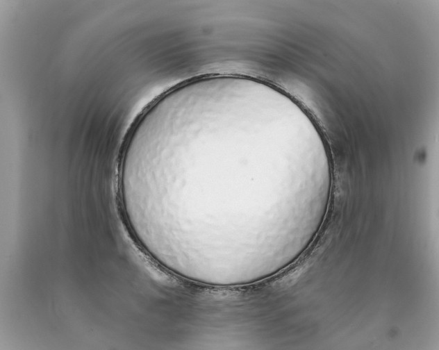 X0000089891040200707262226