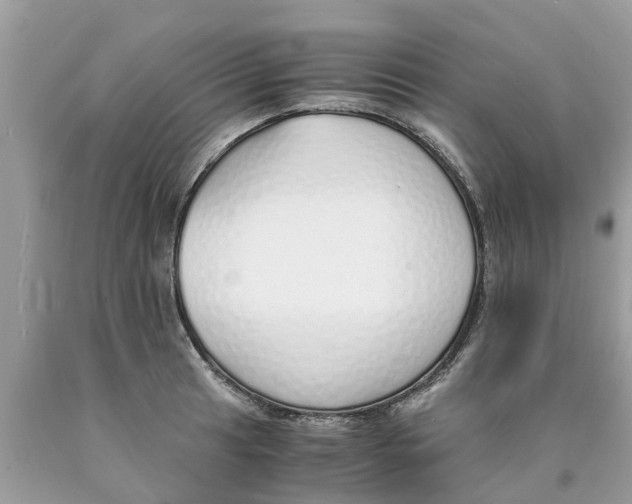 X0000089891041200707262226