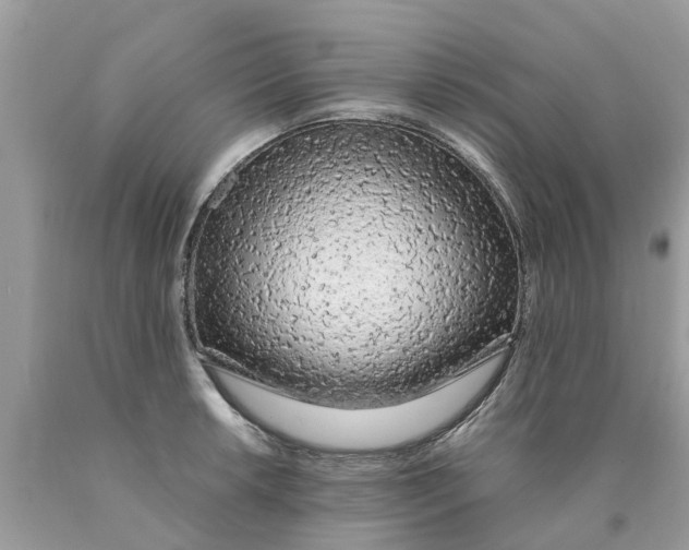 X0000089891042200707262226