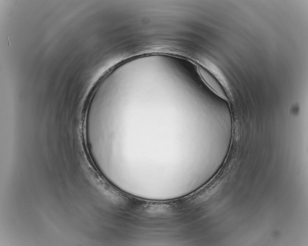 X0000089891043200707262226