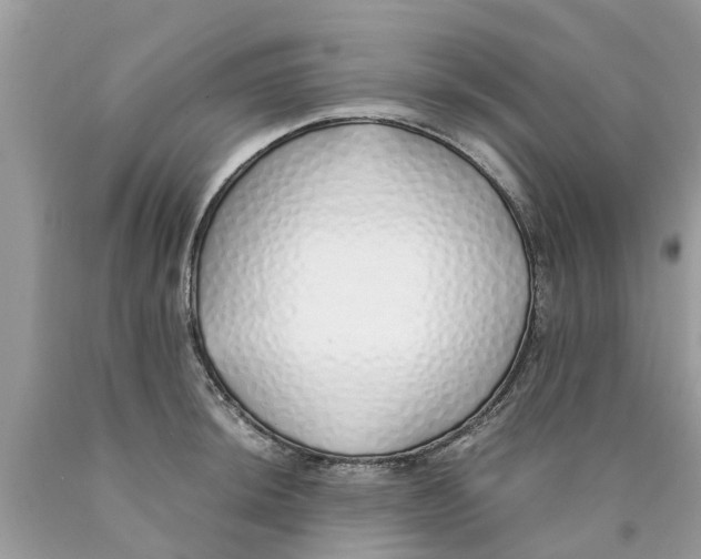 X0000089891044200707262226