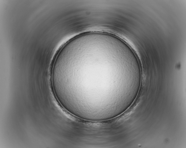 X0000089891045200707262226