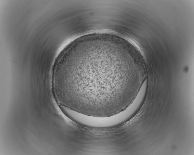 X0000089891046200707262226