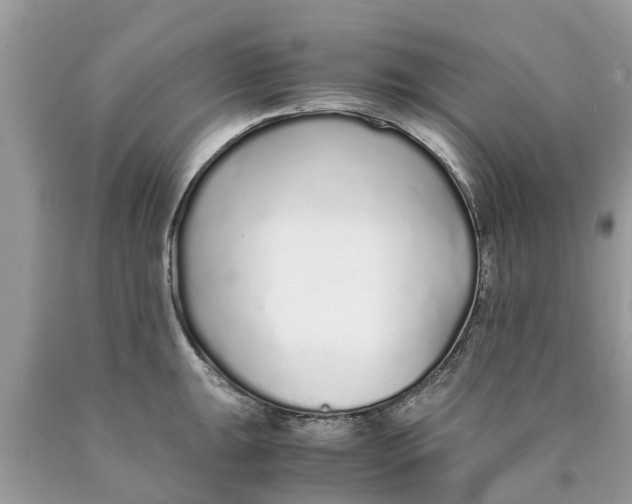 X0000089891047200707262226