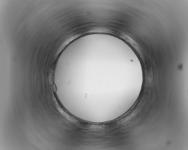 X0000089891049200707262226