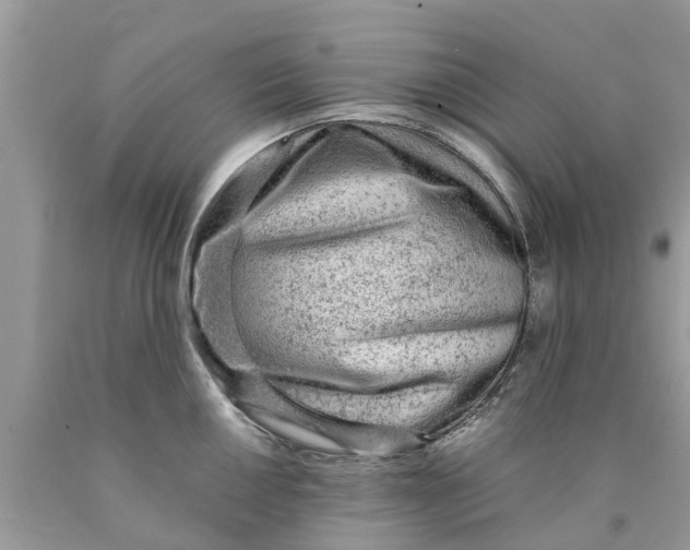 X0000089891050200707262226