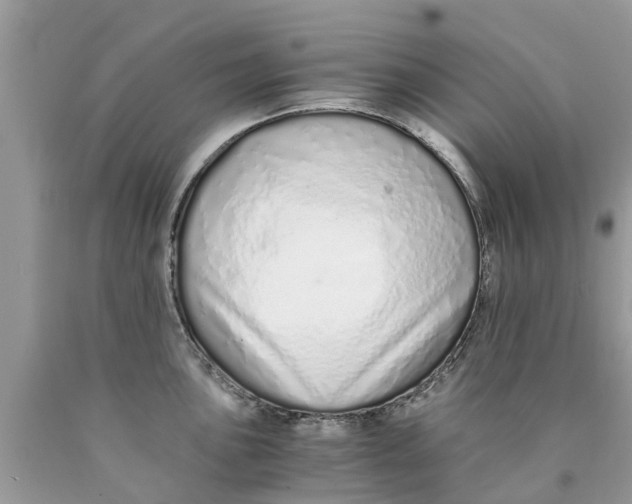 X0000089891051200707262226