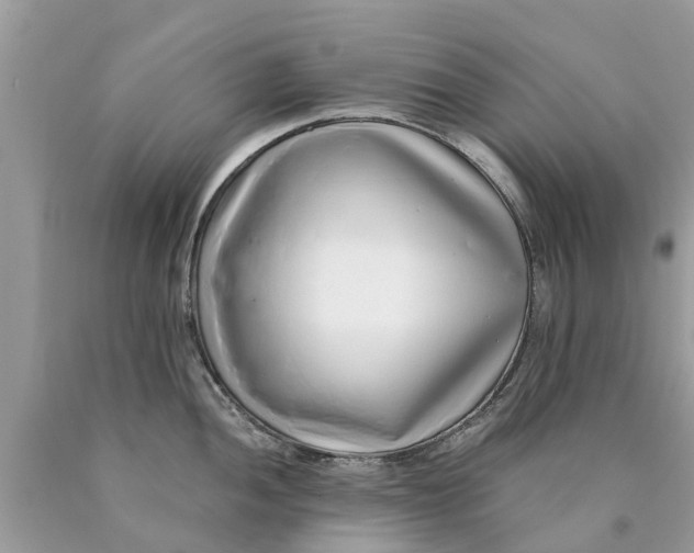X0000089891052200707262226