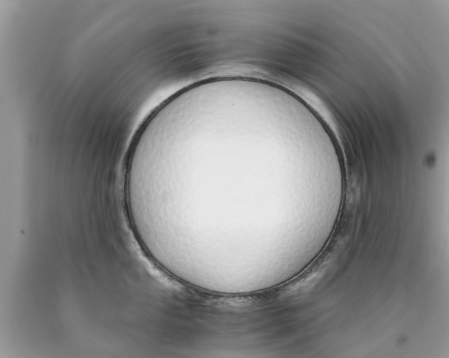 X0000089891053200707262226