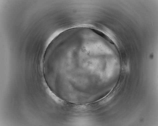 X0000089891054200707262226