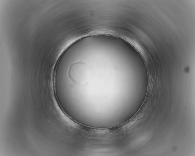 X0000089891055200707262226