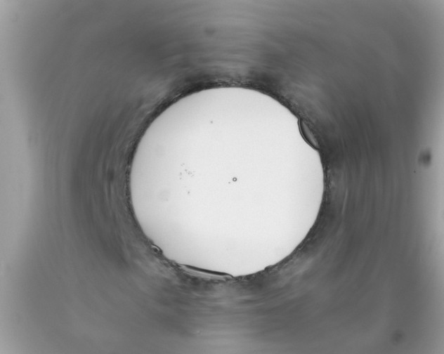 X0000089891057200707262225