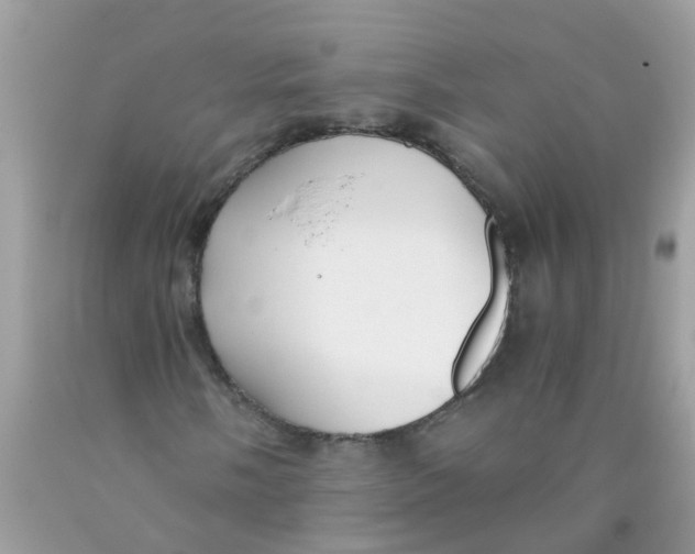 X0000089891058200707262225