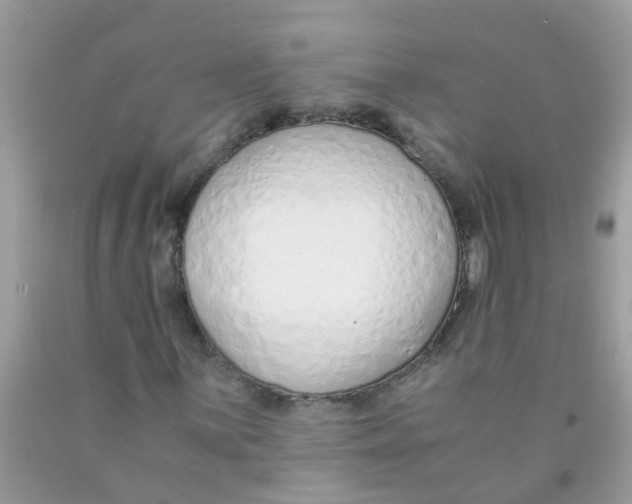 X0000089891059200707262225