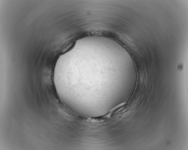 X0000089891060200707262225