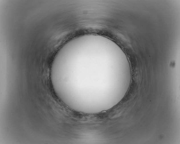 X0000089891061200707262225