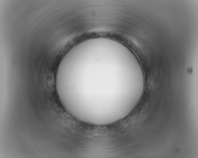 X0000089891062200707262225