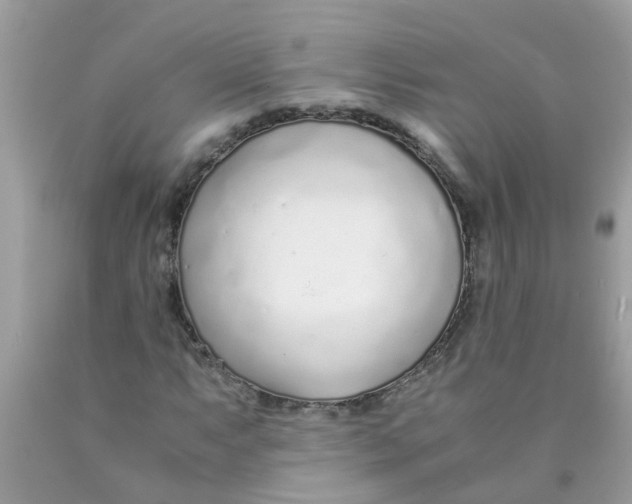 X0000089891063200707262225