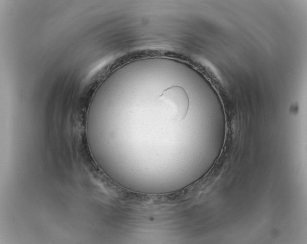 X0000089891064200707262225