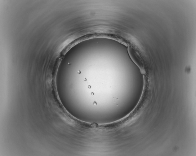 X0000089891065200707262225