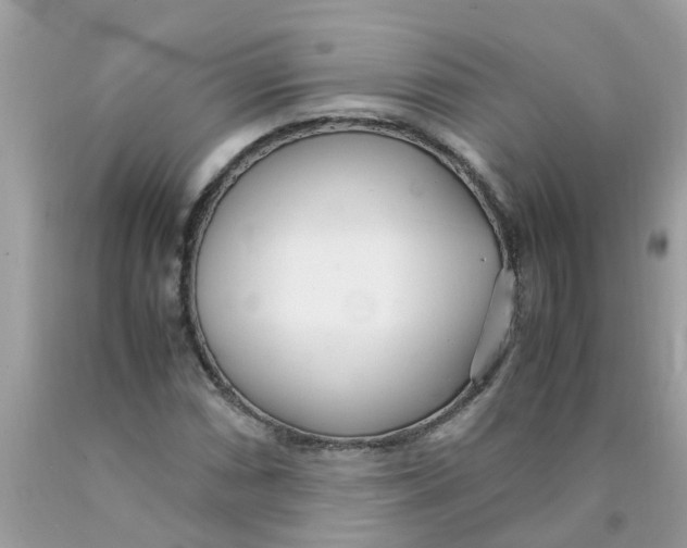 X0000089891066200707262225