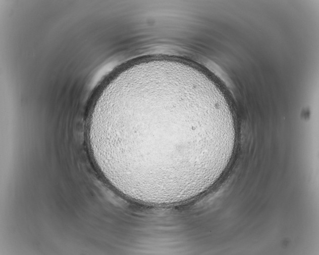 X0000089891067200707262225