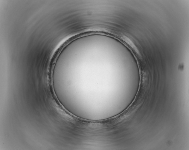 X0000089891068200707262225