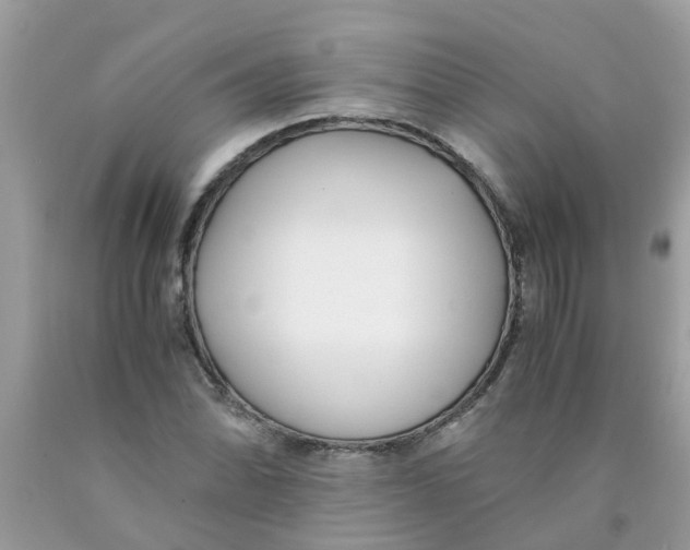 X0000089891070200707262225