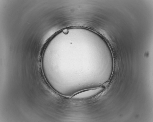 X0000089891071200707262225