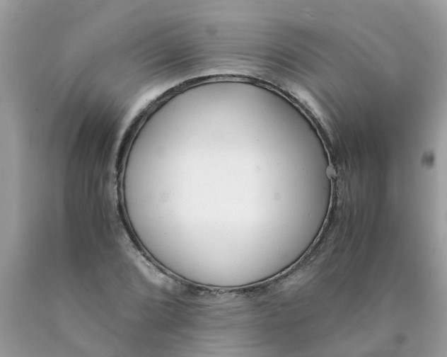 X0000089891072200707262225