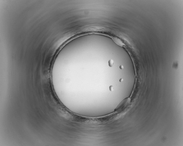 X0000089891073200707262225