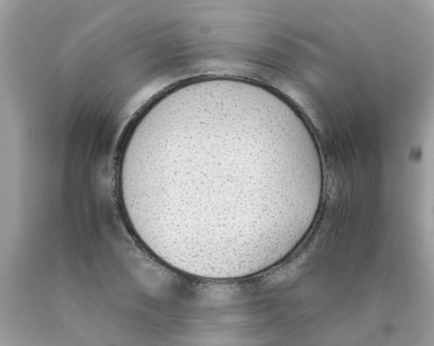 X0000089891074200707262225