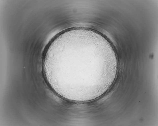 X0000089891075200707262225