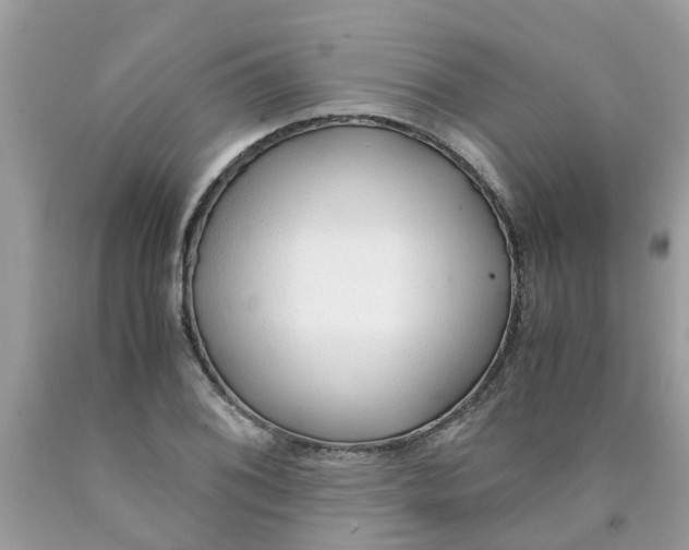 X0000089891076200707262225