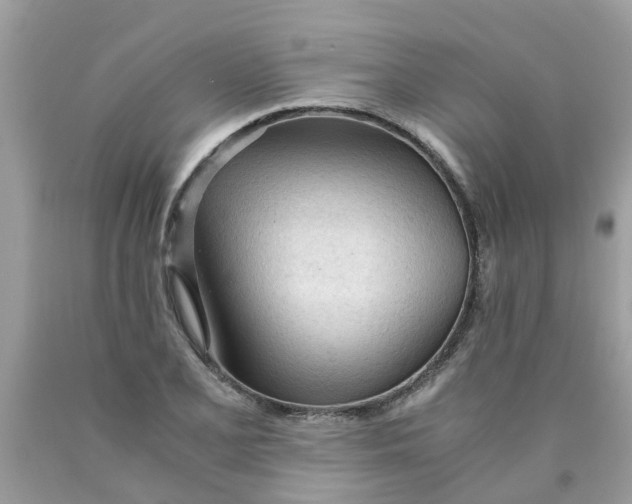 X0000089891077200707262225